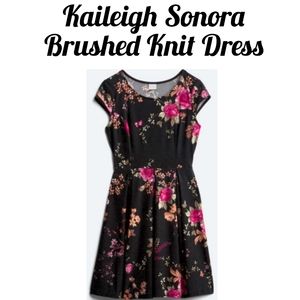 Kaileigh Sonora Brushed Knit Dress